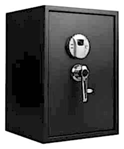 Biometric Safe In Las Vegas